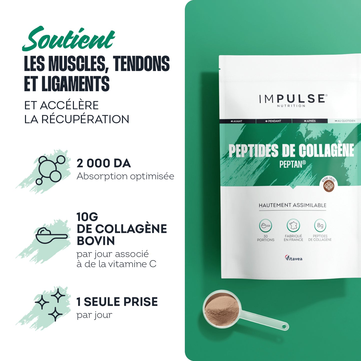 Peptides de collagène Peptan® saveur cacao