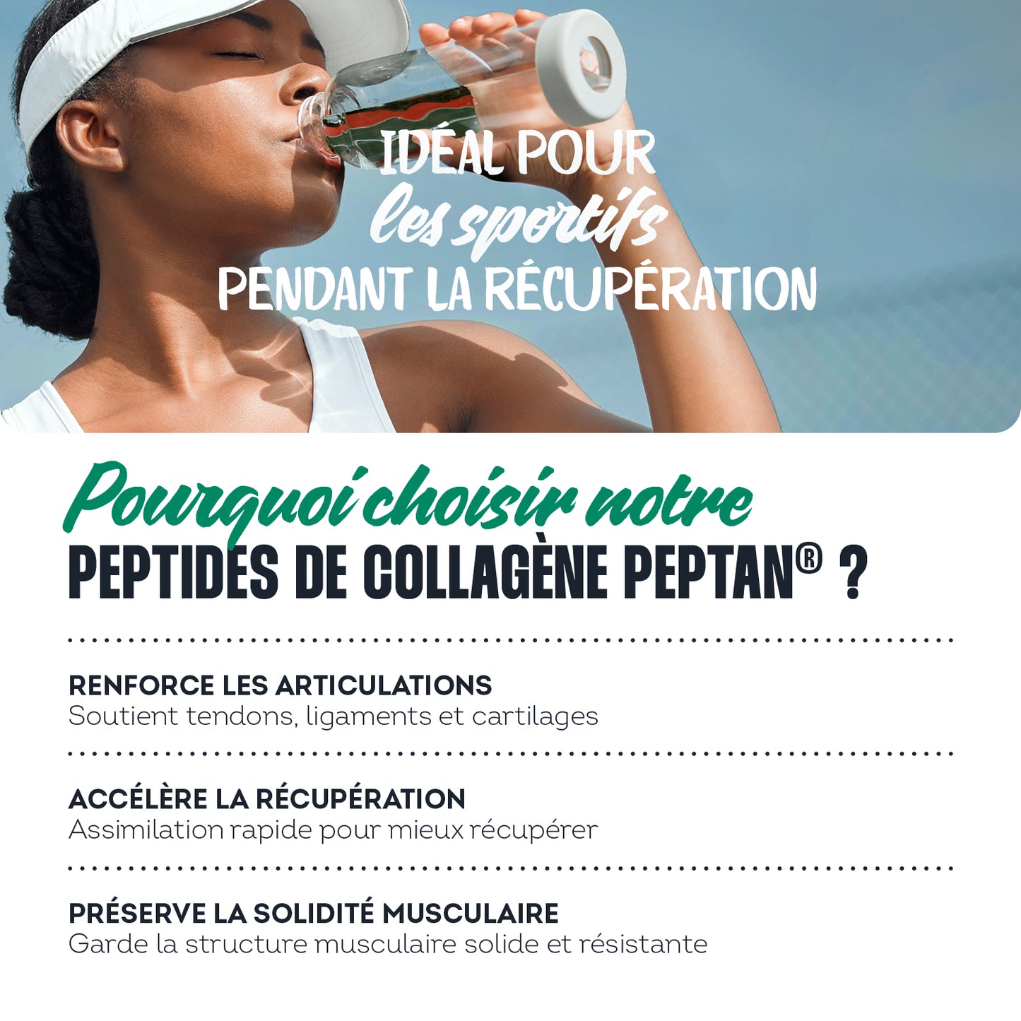 Peptides de collagène Peptan® saveur cacao