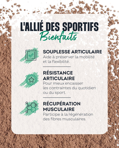 Peptan® Collagen Peptides Cocoa Flavor