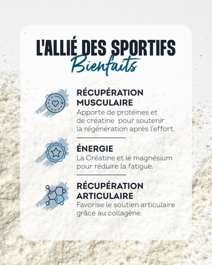 Whey Recovery vanilla flavor