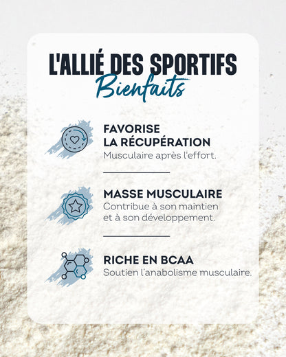 Whey Isolate Vanilla Flavor